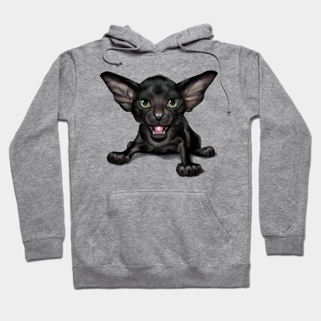 Cat-a-clysm Oriental shorthair kitten Hoodie by ikerpazstudio